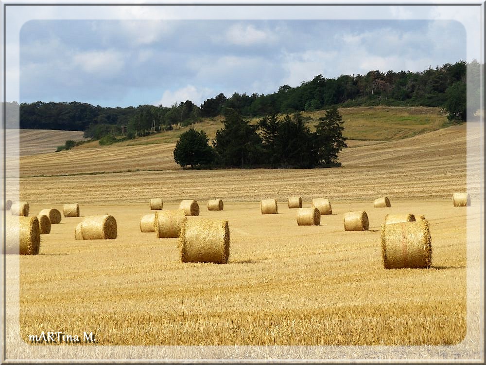 Feld-Stärke  (mit Gedicht)