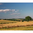 Feld-Studie aus dem Kraichgau