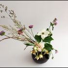 Feld und Anlagenstrauß