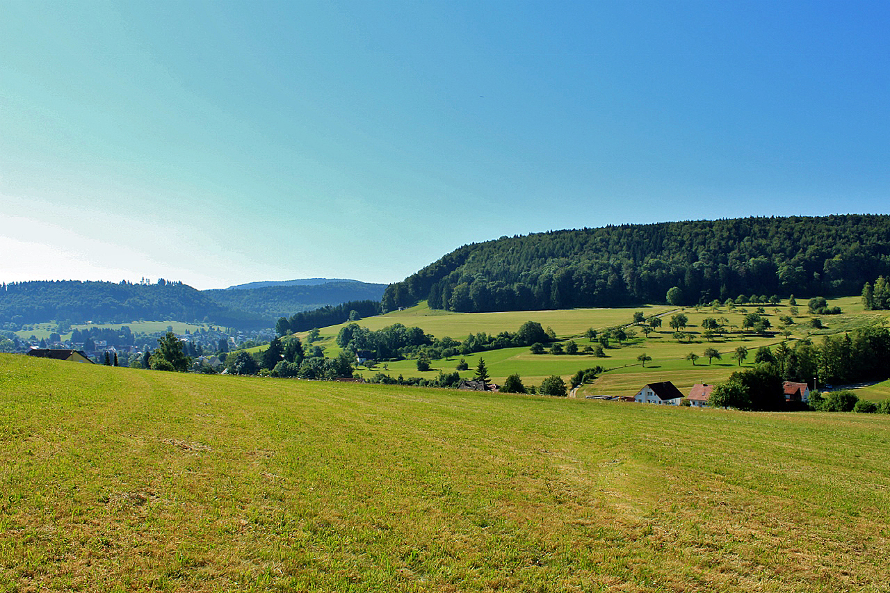 Feld und Fauna in Pfeffingen!