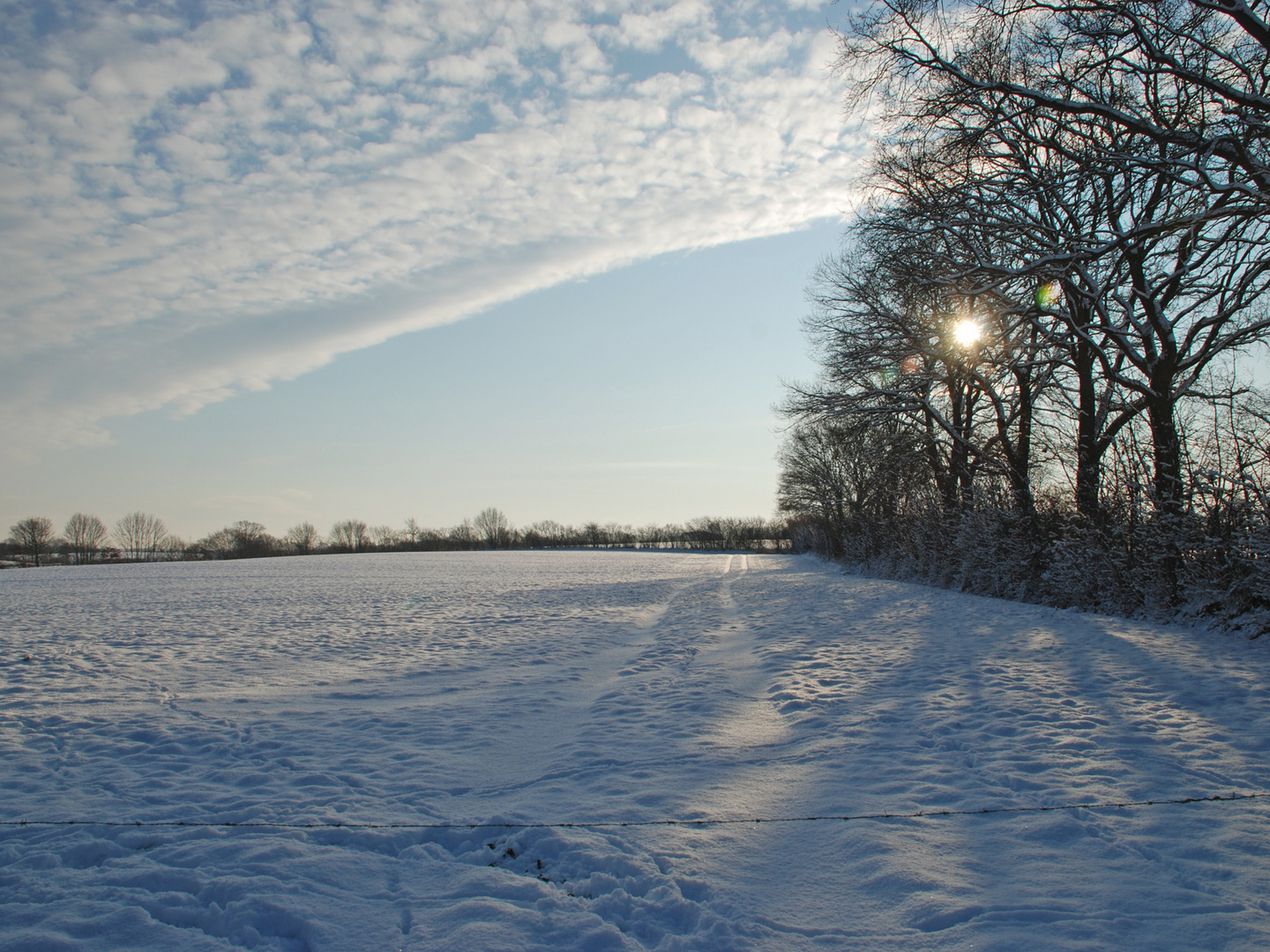 Feld und Flur