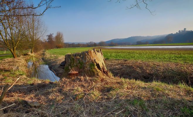 Feld und Flur im Februar