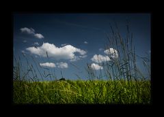 Feld und Gräser, Himmel und Wolken