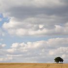 Feld und Himmel