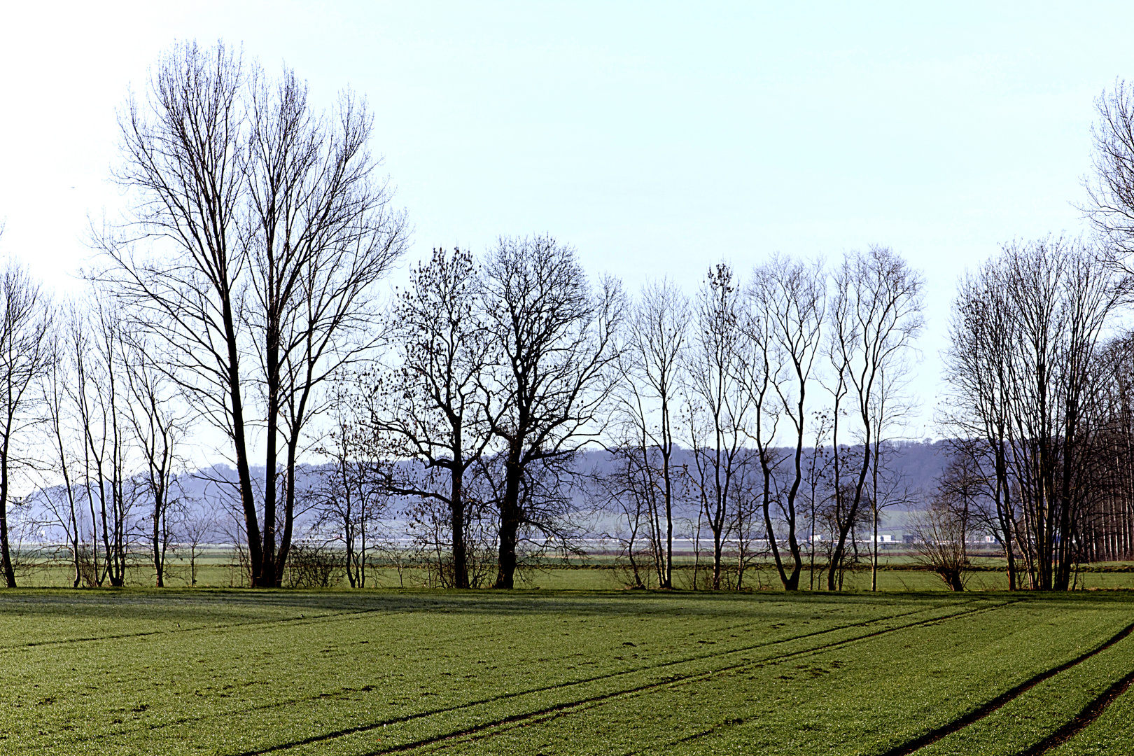 Feld und Himmel