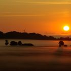 Feld und Nebel