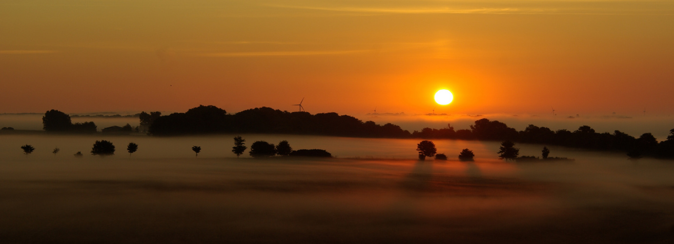 Feld und Nebel