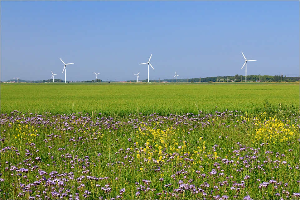 Feld- und Stromlandschaft