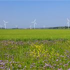 Feld- und Stromlandschaft