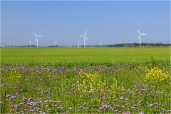 Feld- und Stromlandschaft