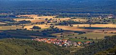 Feld und Wald