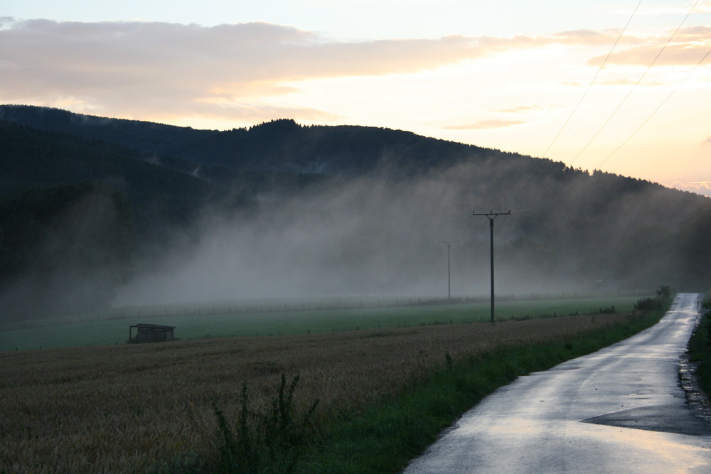 Feld und Wald im Nebel