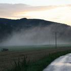 Feld und Wald im Nebel