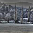 Feld und Wald im Raureif