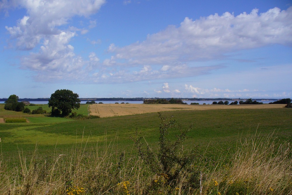 Feld und Wiesen mit Blick auf die Eckernförder Bucht