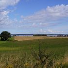 Feld und Wiesen mit Blick auf die Eckernförder Bucht