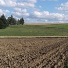 Feld - und Wiesenchoregraphie