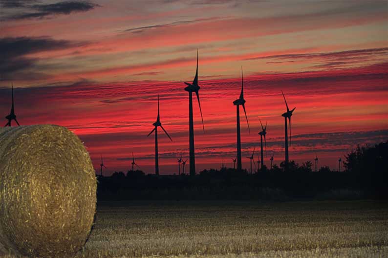 Feld und Wind