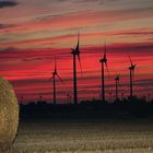 Feld und Wind