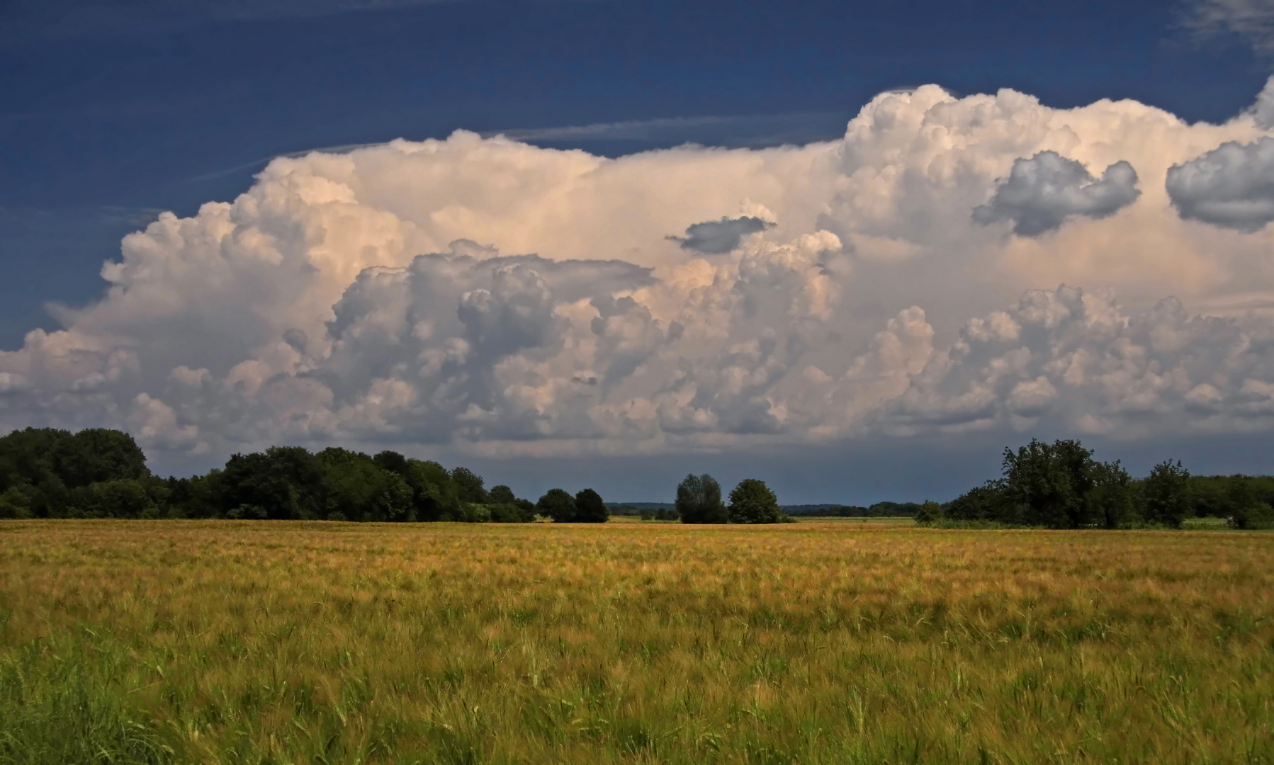 Feld und Wolken (2)