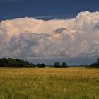 Feld und Wolken (2)