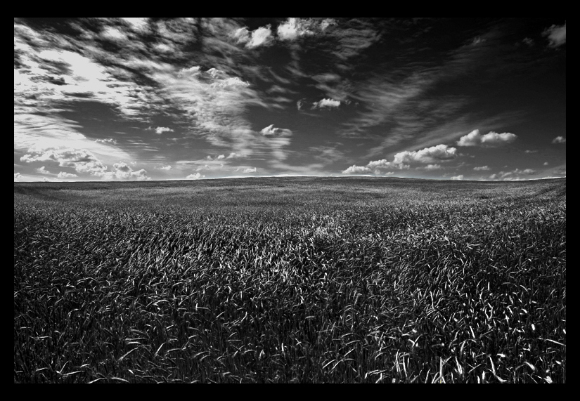 Feld und Wolken