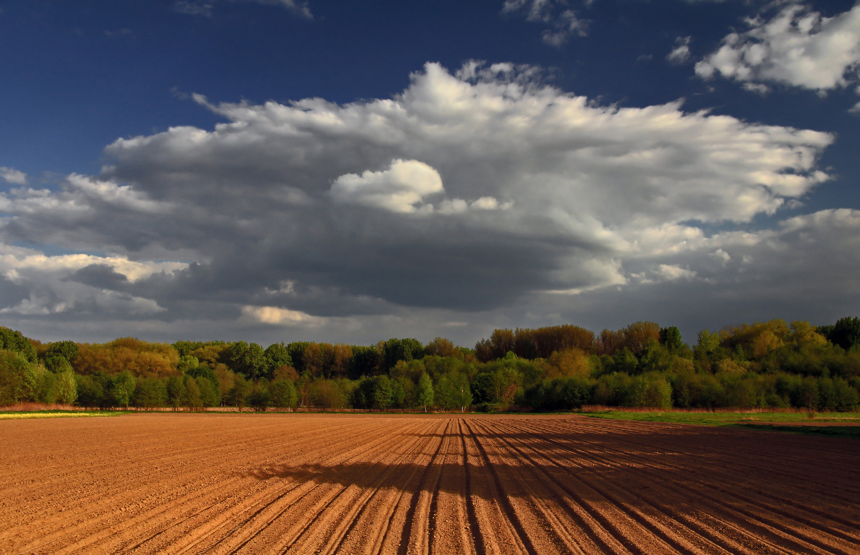 Feld und Wolken