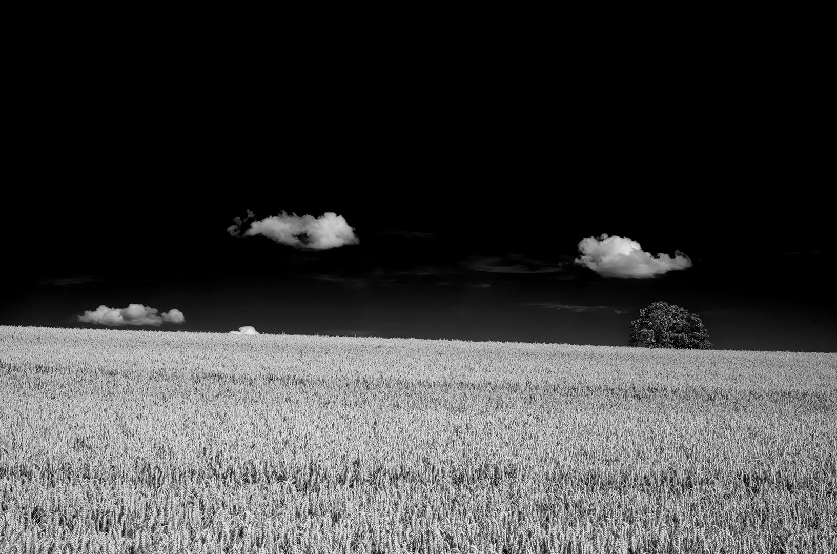 Feld und Wolken