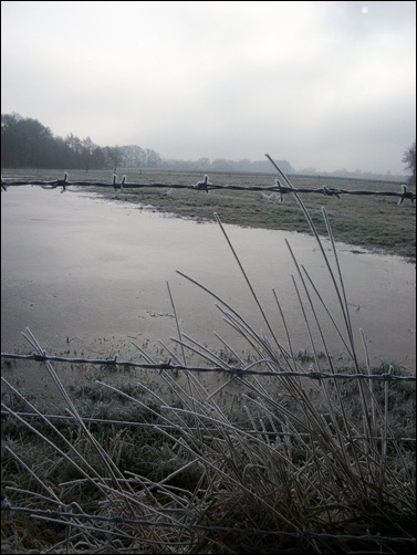 Feld und Zaun