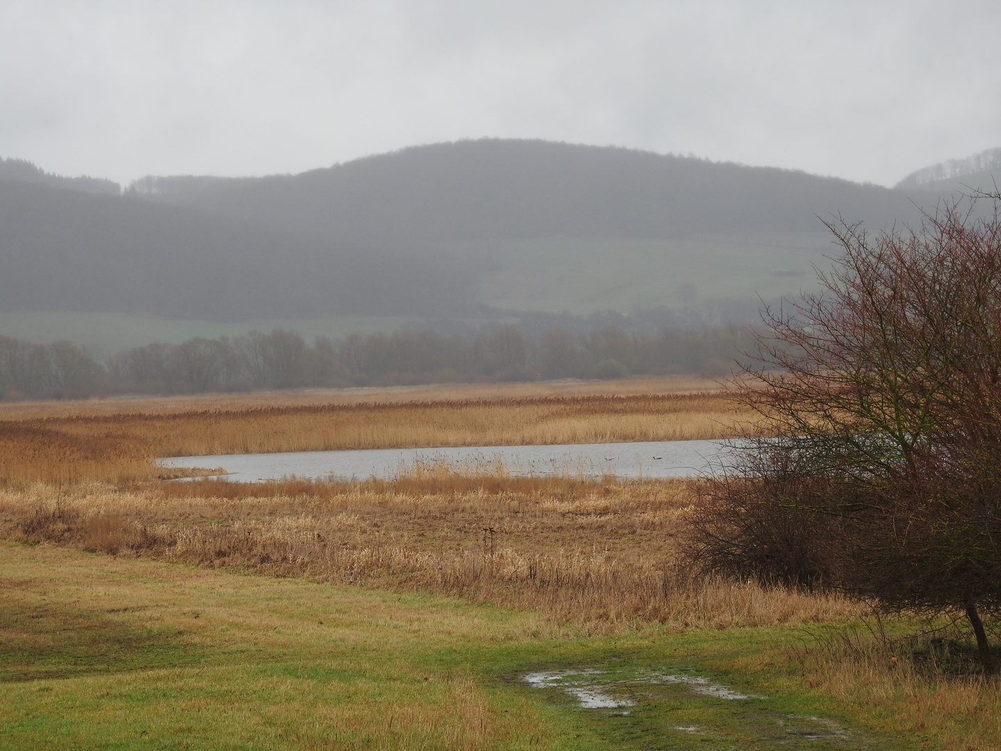 Feld unter Wasser 1.0