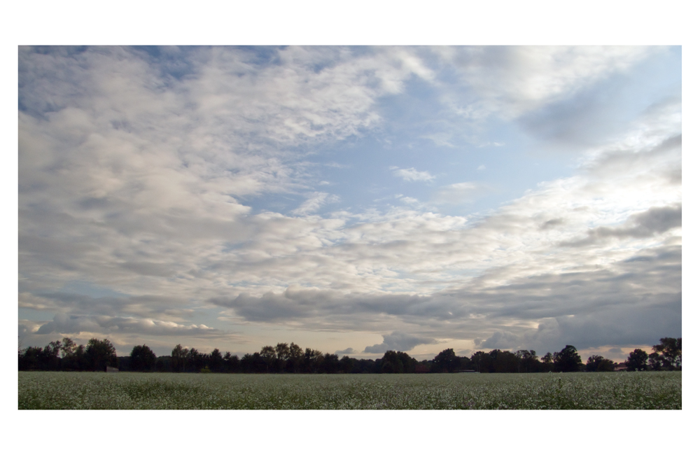 *Feld unter Wolken*