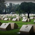 Feld von Grabsteinen in Budapest noch 1945 gefallener sowjetischer Soldaten