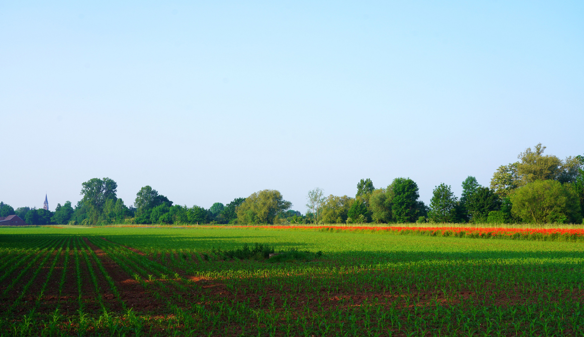 Feld vor dem Dorf