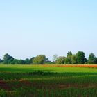 Feld vor dem Dorf