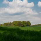 Feld, Wald und Himmel