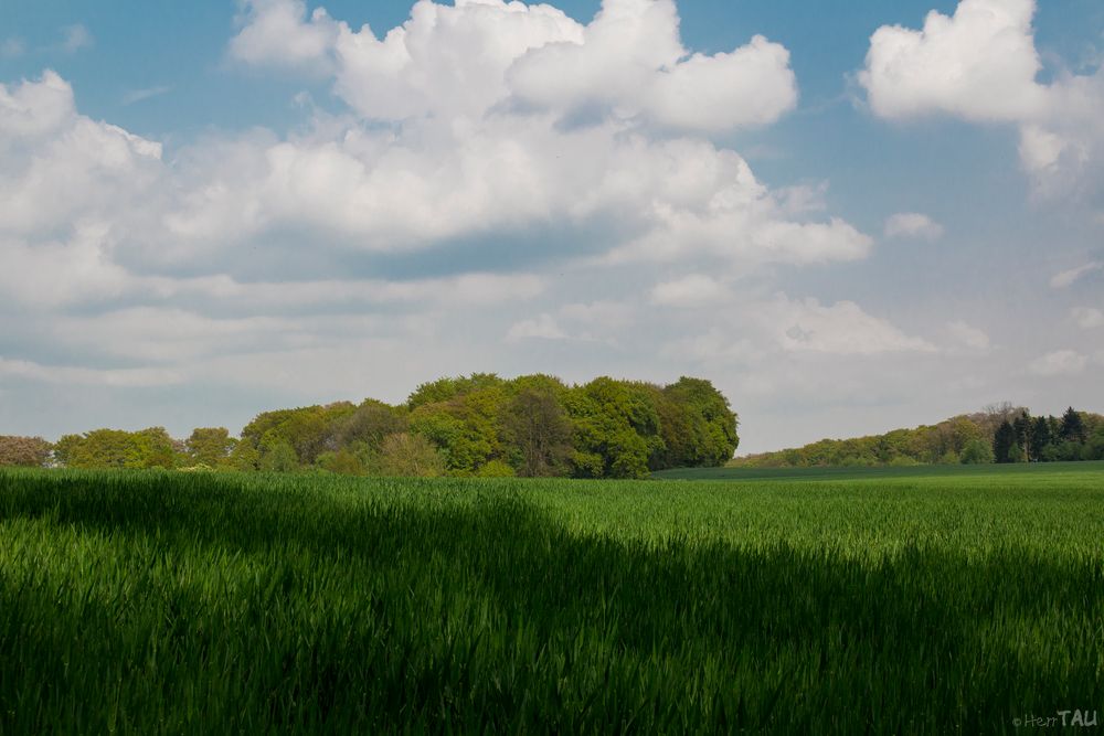 Feld, Wald und Himmel