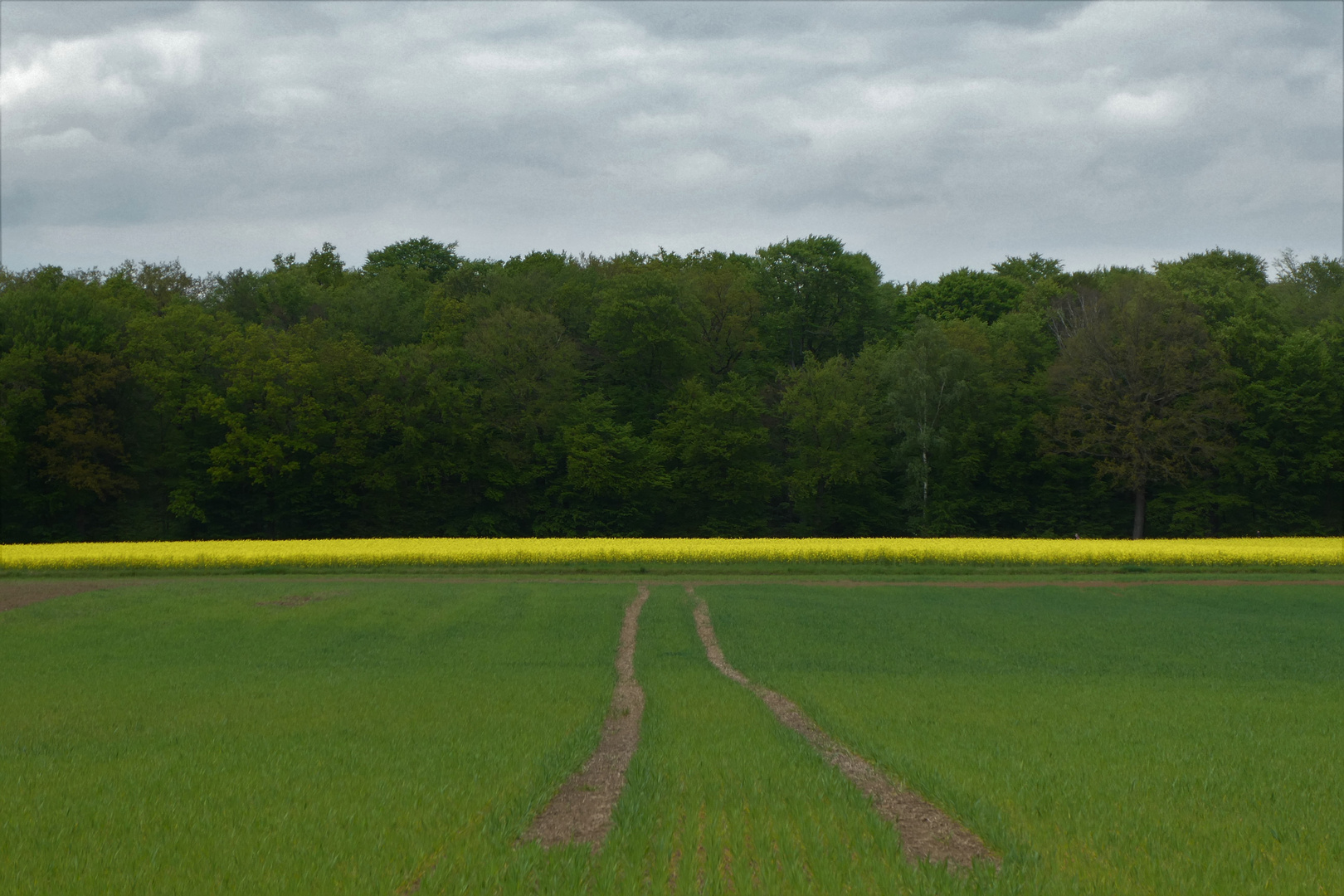 Feld, Wald und Wiese 