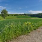 Feld, Wald und Wiese