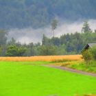 Feld, Wald und Wiese