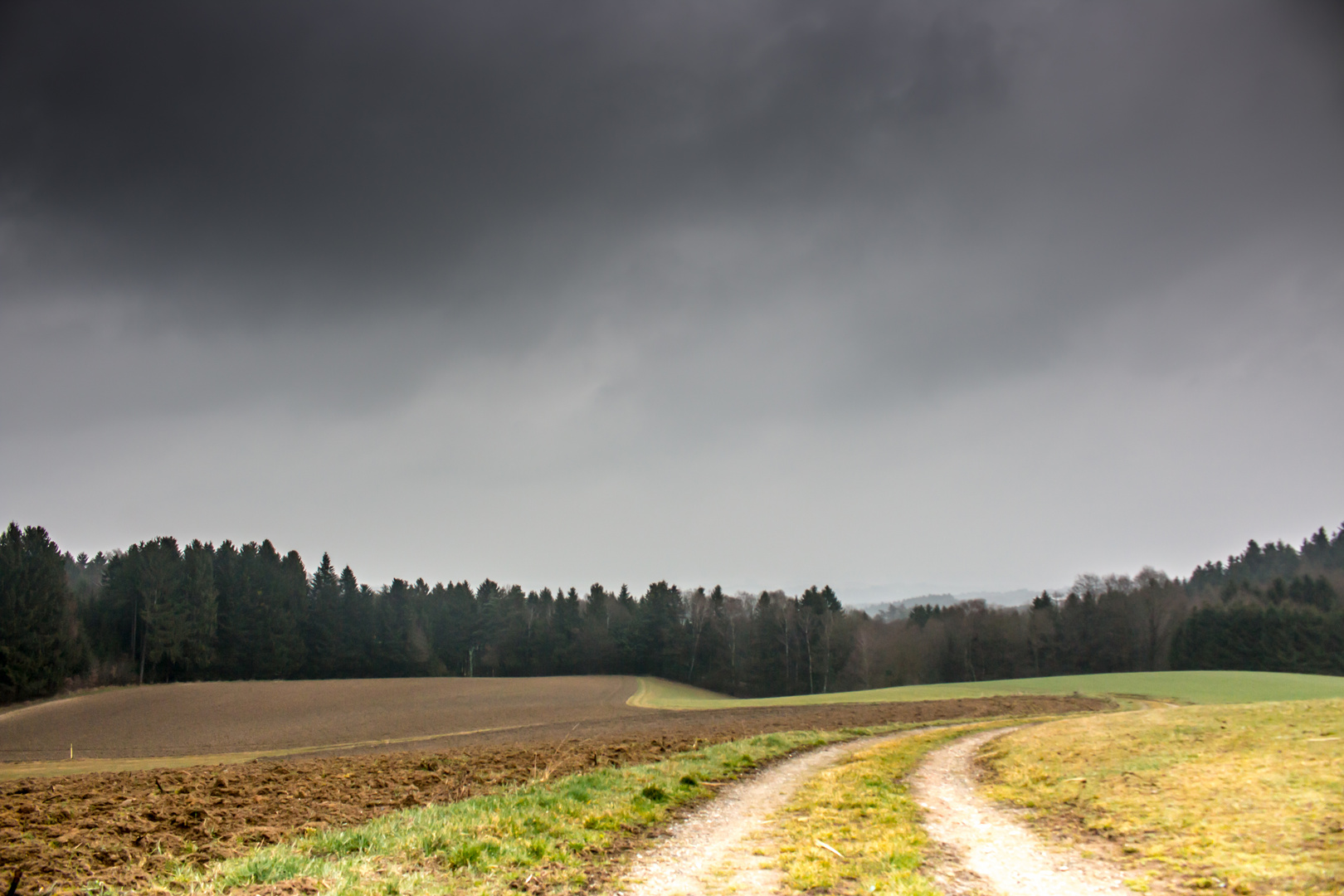 Feld, Wald und Wiese