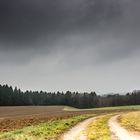 Feld, Wald und Wiese