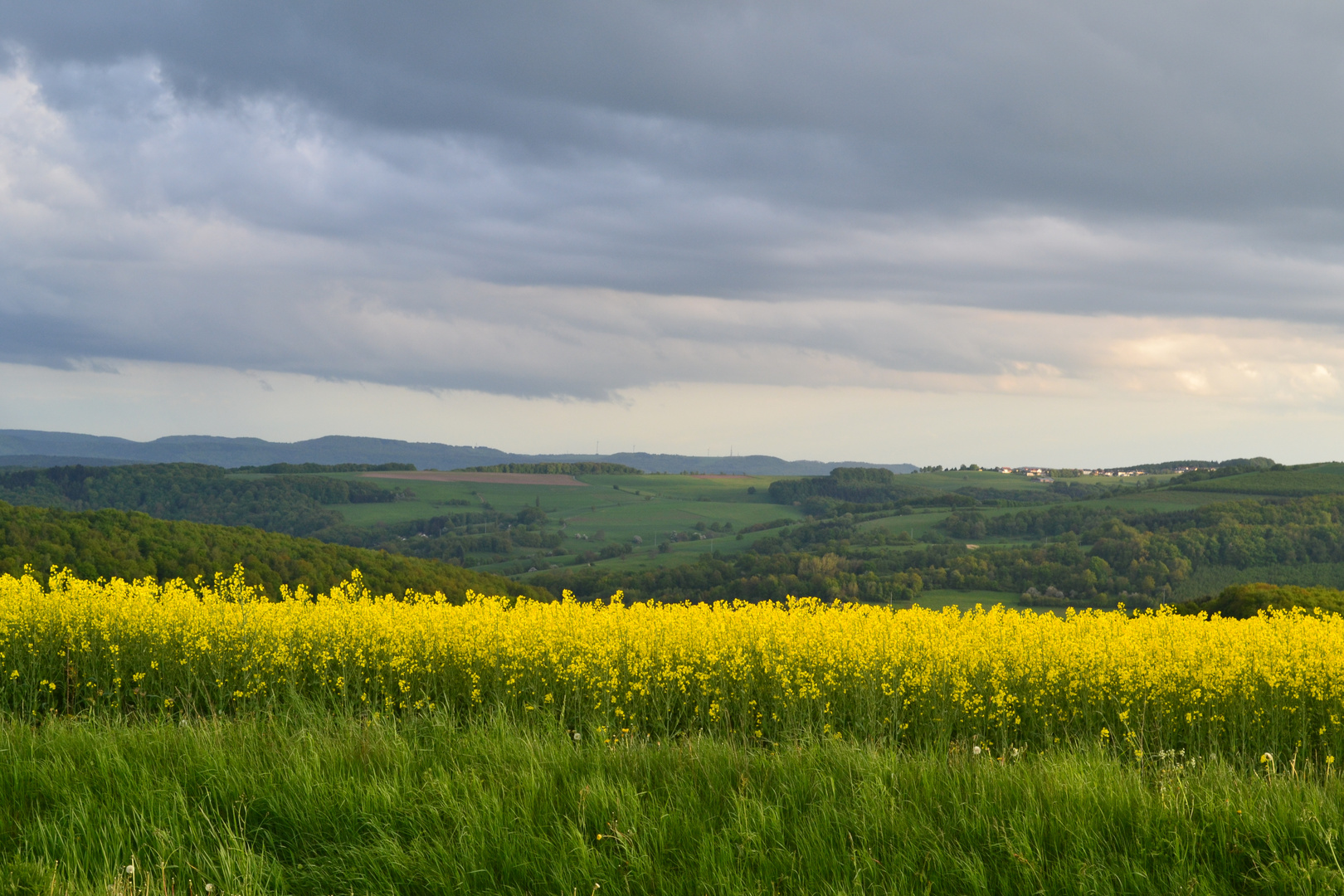 Feld, Wald und Wiesen