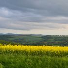 Feld, Wald und Wiesen