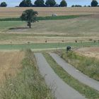 Feld-, Wald- und Wiesen-Autobahn