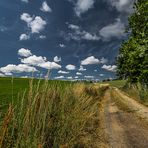 Feld-Wald-Weg