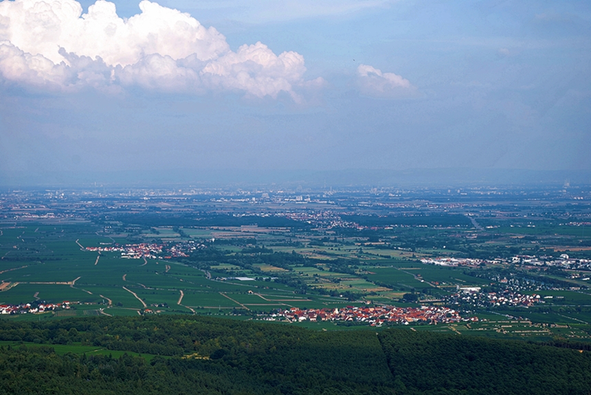 Feld, Wald, Wiese....