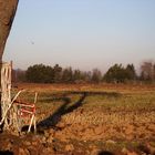 Feld, Wald & Wiesen