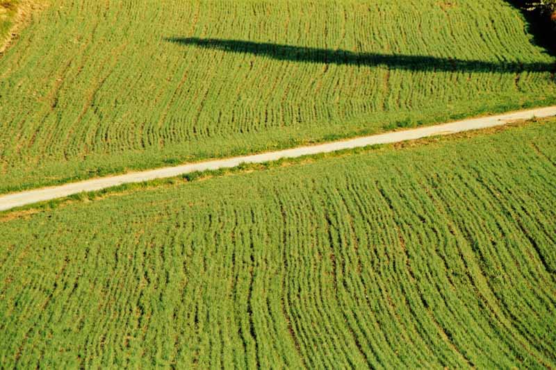 Feld-Weg-Feld im Waldviertel (Österreich)