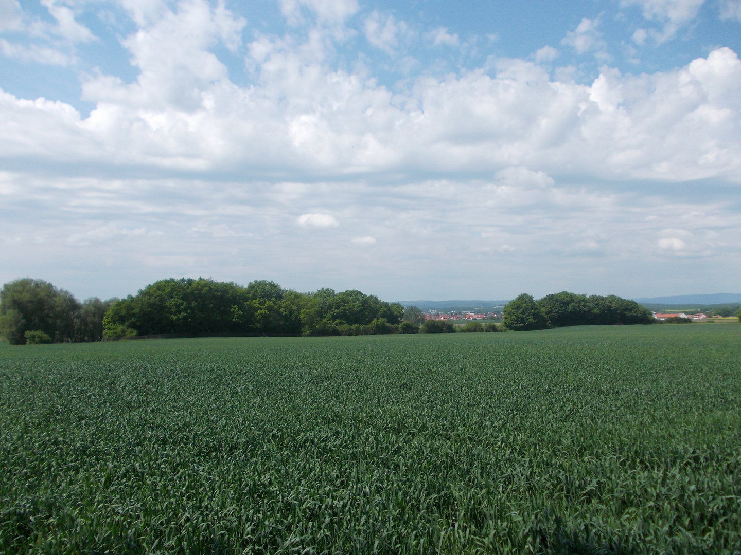 Feld/ Wolke