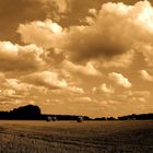 Feld-Wolken / field-clouds
